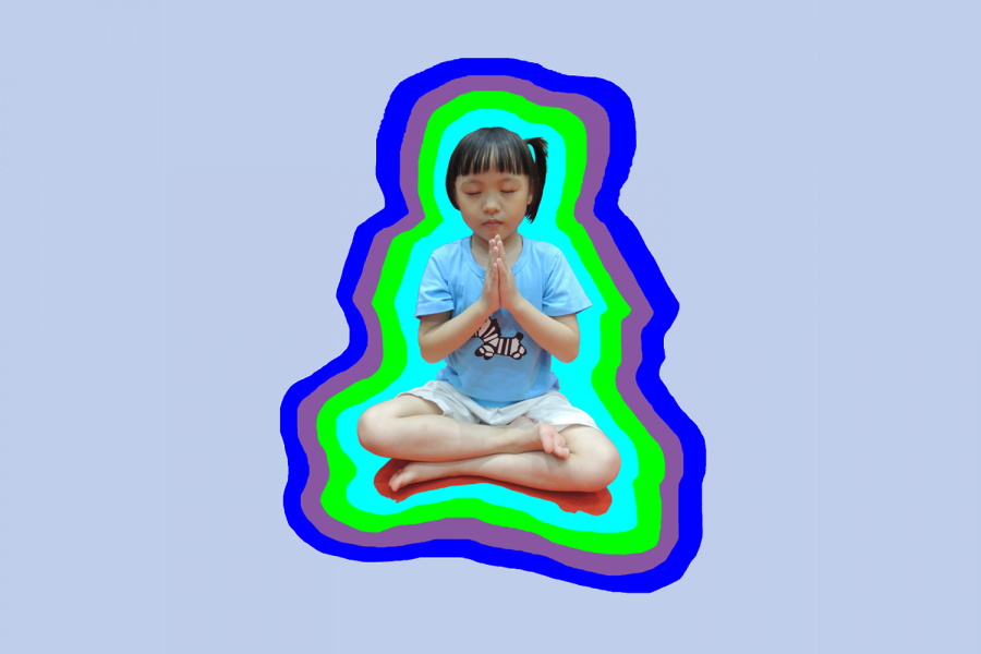 panchakosha, pancha kosha, pancakosa